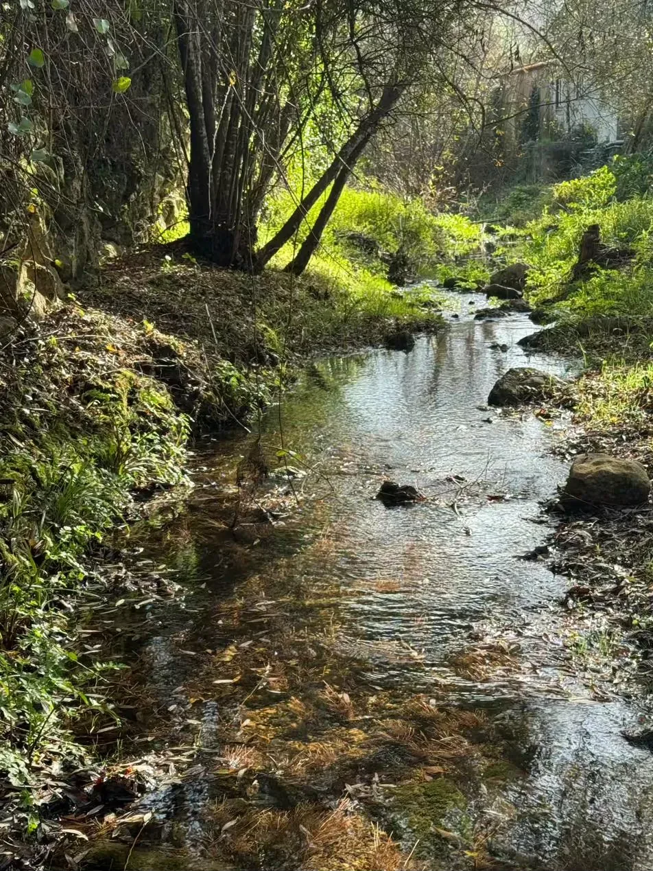 The Rio Verde river flowing through the valley