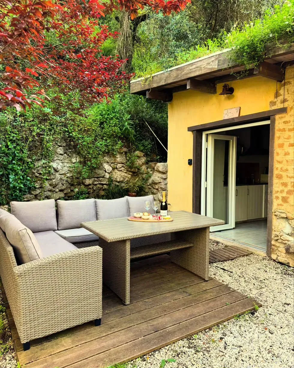 Terrace in autumn — red vines, wine and charcuterie